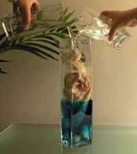 I just got an email titled Ceremony!!! :D