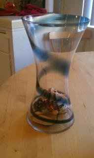 Help me find Big Shells!!!