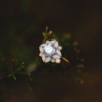 Did you pick your ring or were you completely surprised? - 1