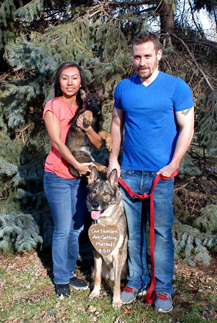 Fur babies with engagement/wedding photos