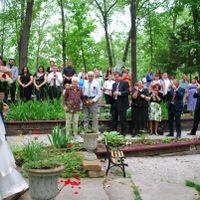 Help! Wedding on a budget!