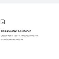 **it Service Request: custom website domain expired, i paid to renew and now its listed as "already 