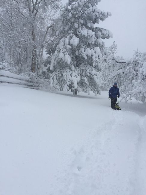 NWR: snow day!