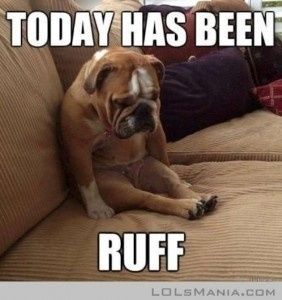 Stupid Meltdown! Words of love needed