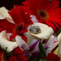 Not quite back but married with pro pics!