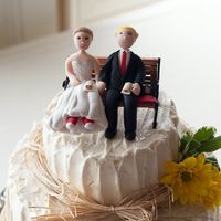 Not quite back but married with pro pics!