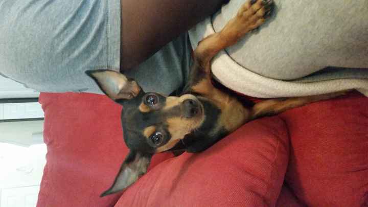 NWR: I got an early birthday present! It's a girl..puppy