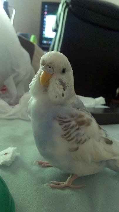 FH is in the ER **Update**