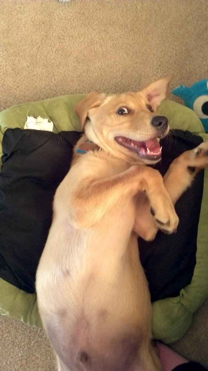 NWR: What song gets you moving/improves your mood?