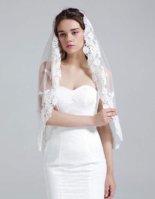 Veil - White or Colorful? 2