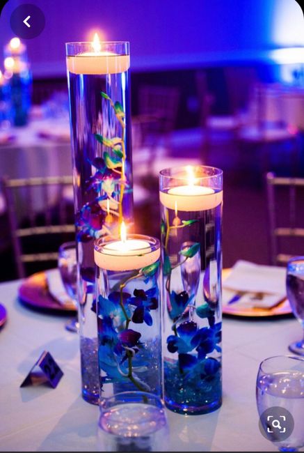 Wedding color palette for galaxy orchids 1