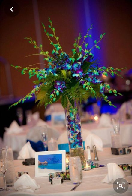 Wedding color palette for galaxy orchids 2