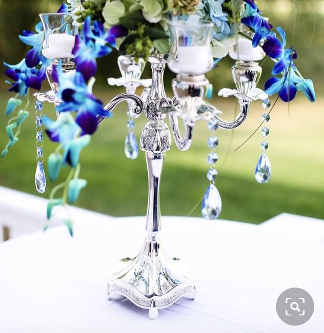 Wedding color palette for galaxy orchids 7