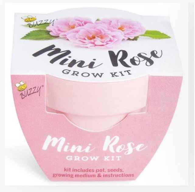 Mini rose growing kit.