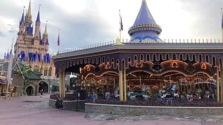Disney World Honeymoon - 1