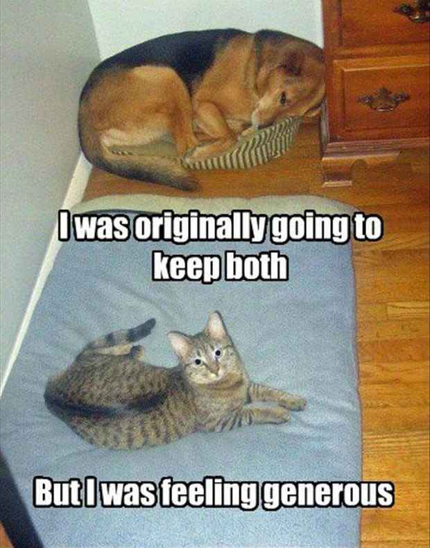 Please help me feel better