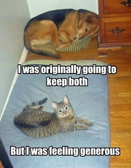 Please help me feel better