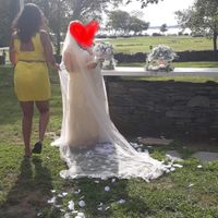 Dress and veil