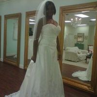 Said "YES" to the dress... But now i'm having regrets one day later!