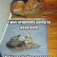 Please help me feel better