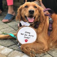 Our Baby Popping the Question
