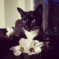 Let me see those fur babies!