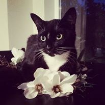 Let me see those fur babies!