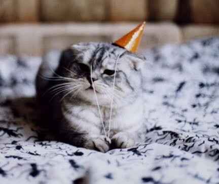 Happy birthday Celia!