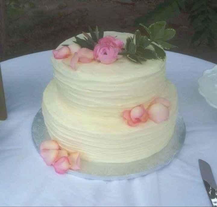Cake vs Cupcakes