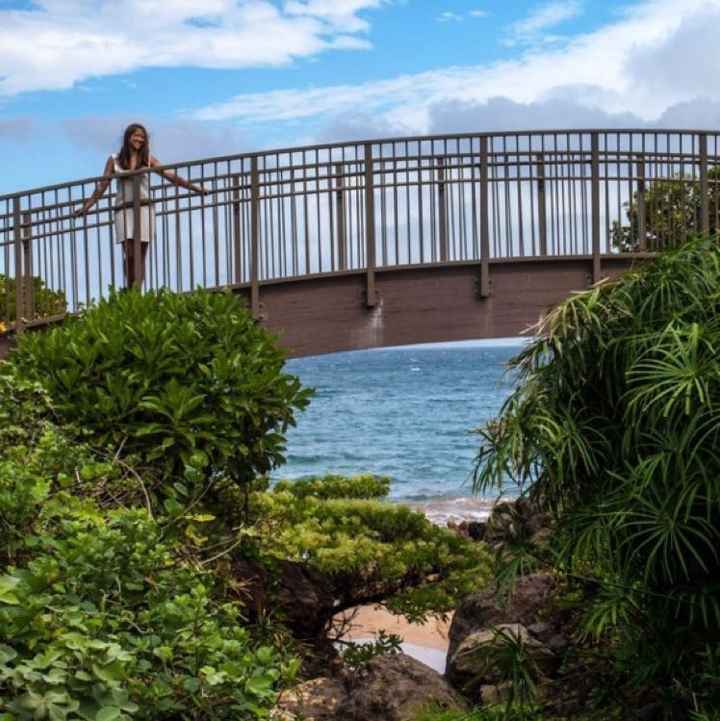 Honeymoon in Hawaii?