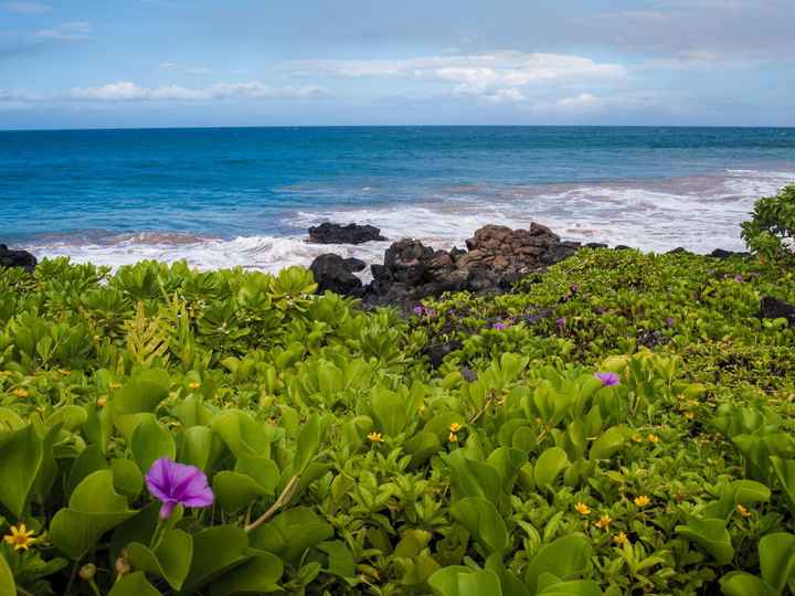 Maui in October