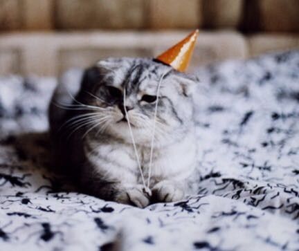 Happy birthday Celia!