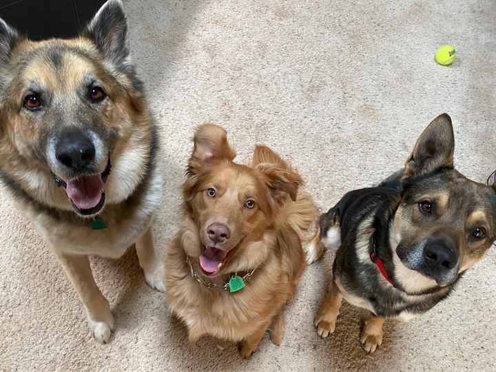 First Trial of Centerpieces - 1