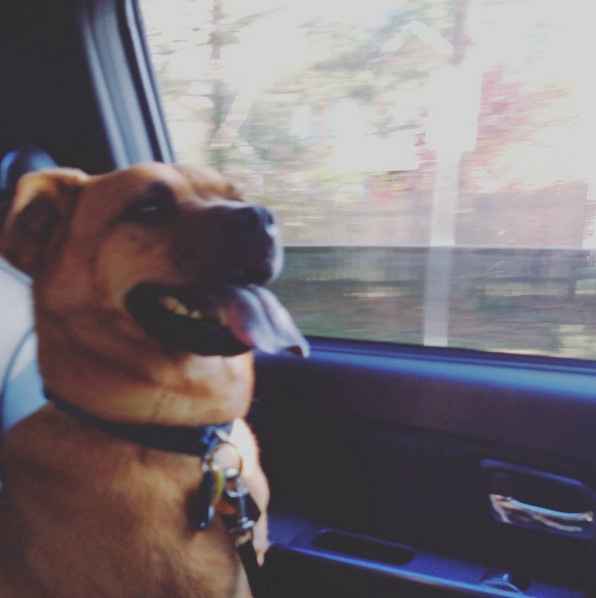 NWR:  Thursday Fursday