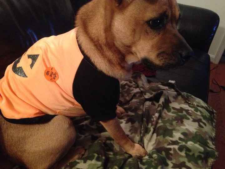 Cutest Thing You'll See All Day