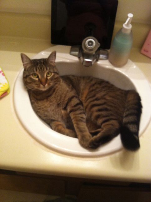 Show mee yourrr…..