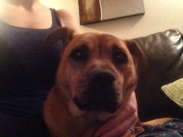 Introduce yourself. :)