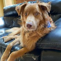 Let's see your fur babies!! - 2