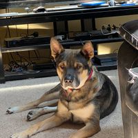 Let's see your fur babies!! - 3