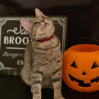 Let's see your fur babies!! - 4