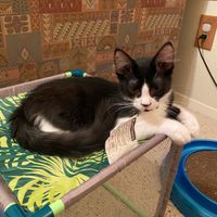 Let's see your fur babies!! - 5