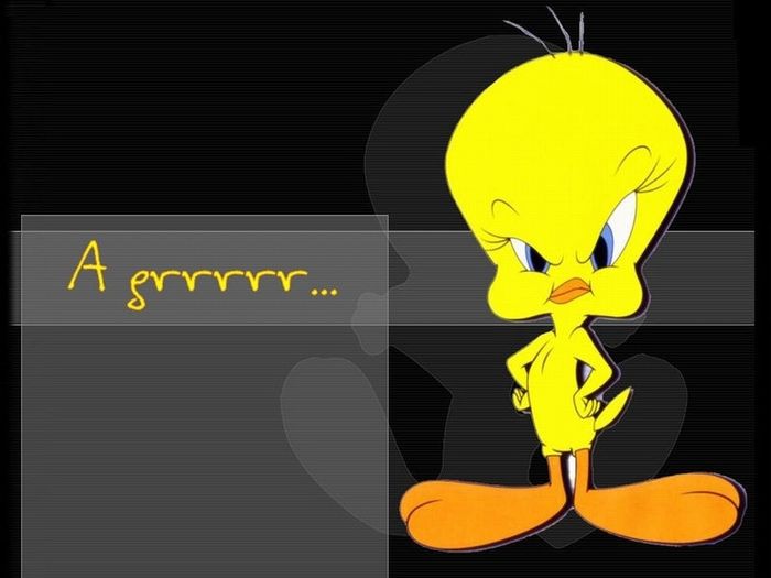 Is it really only TUESDAY!?