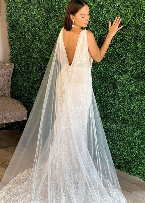 Regular Veil or Cape 4