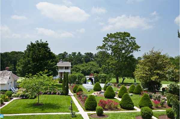 Help to decide between two dresses please!!!