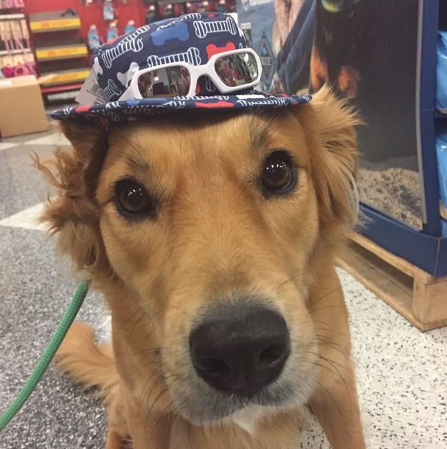 Nwr- show me your fur babies