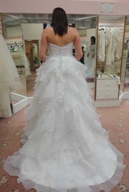 My Dress Is In!!!! *With Pics!