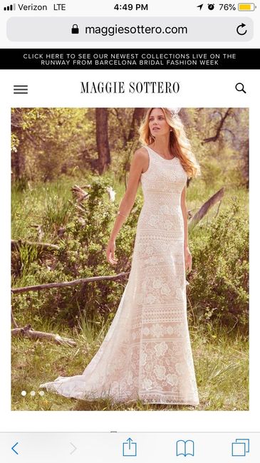 My Stupid Wedding Dream! - 1