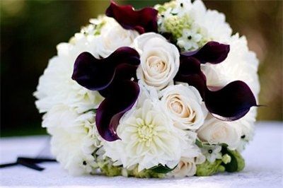 Freaking out about flowers!