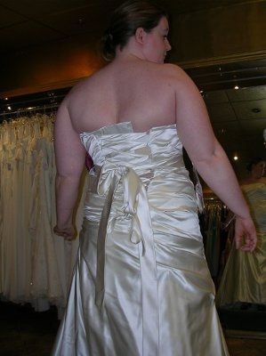 First Dress Fitting Anxiety - Help!  UPDATED with Pics