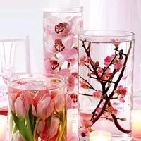 sharing the cost of expencive centerpieces and candy bar jars with other brides